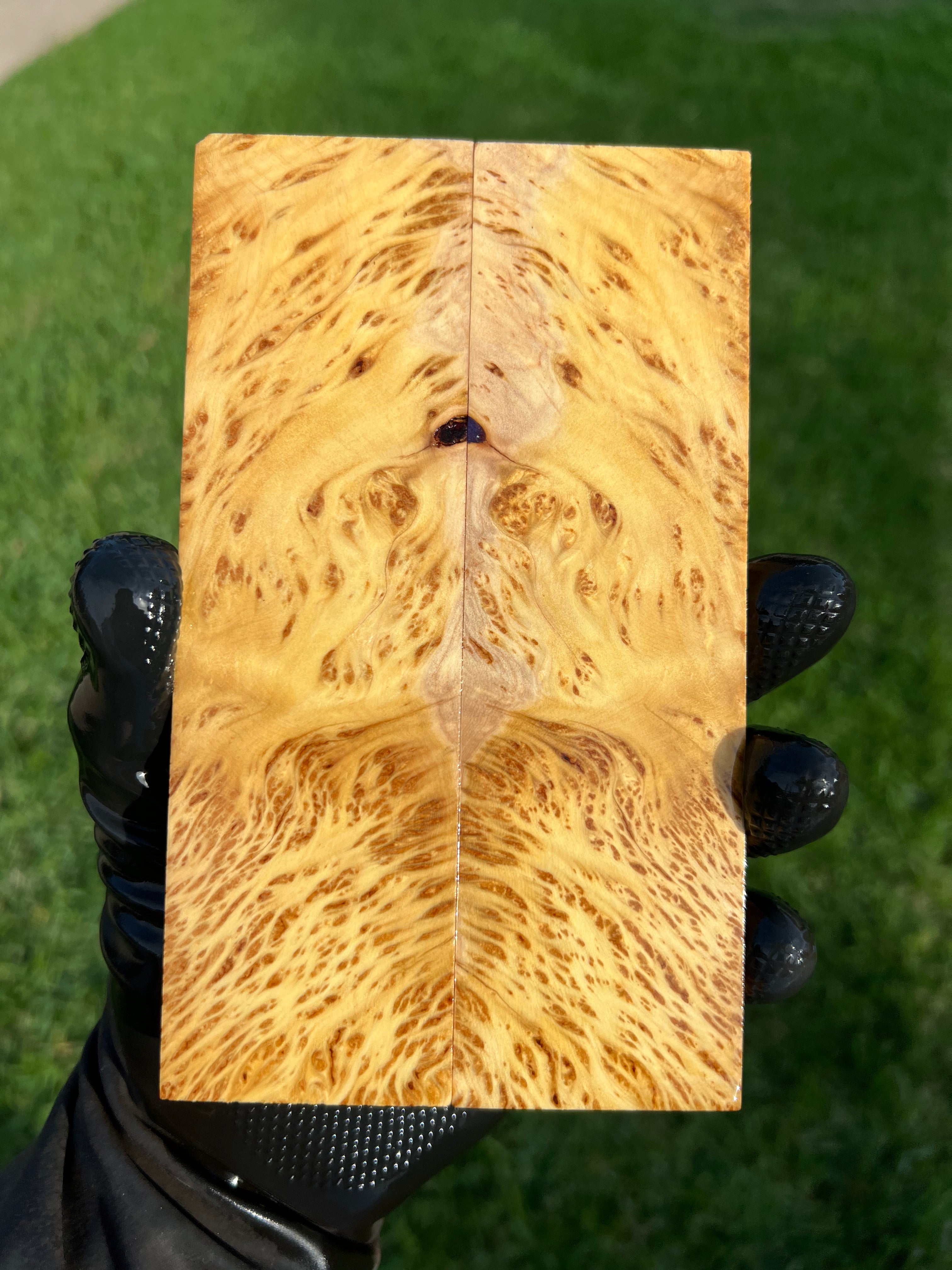 Yellow Cedar Burl Scales YCBS-019 (Stabilized)